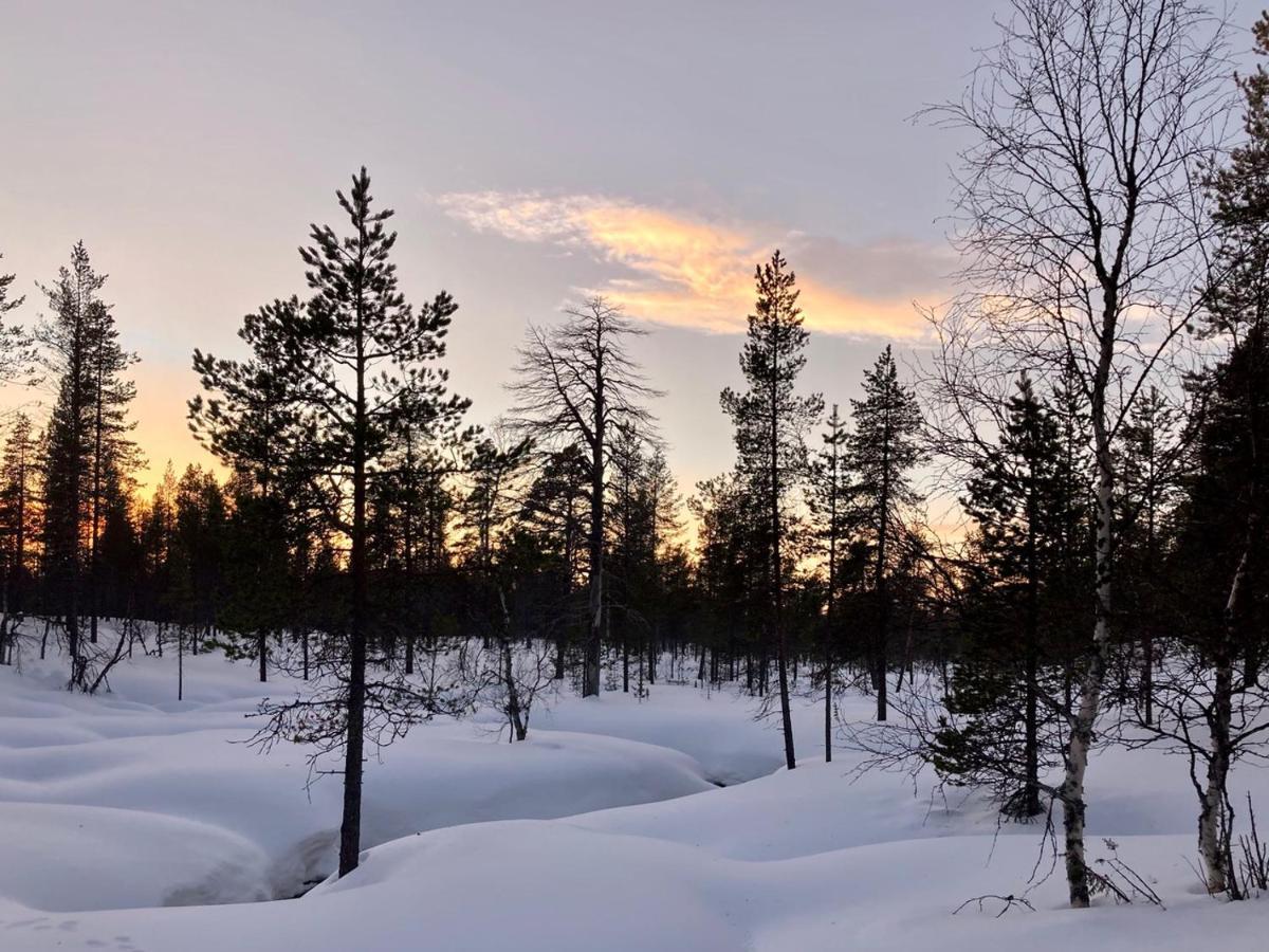 Kuukkeli Log Houses Aurora Cabin - Jaspis Saariselkä Exterior foto